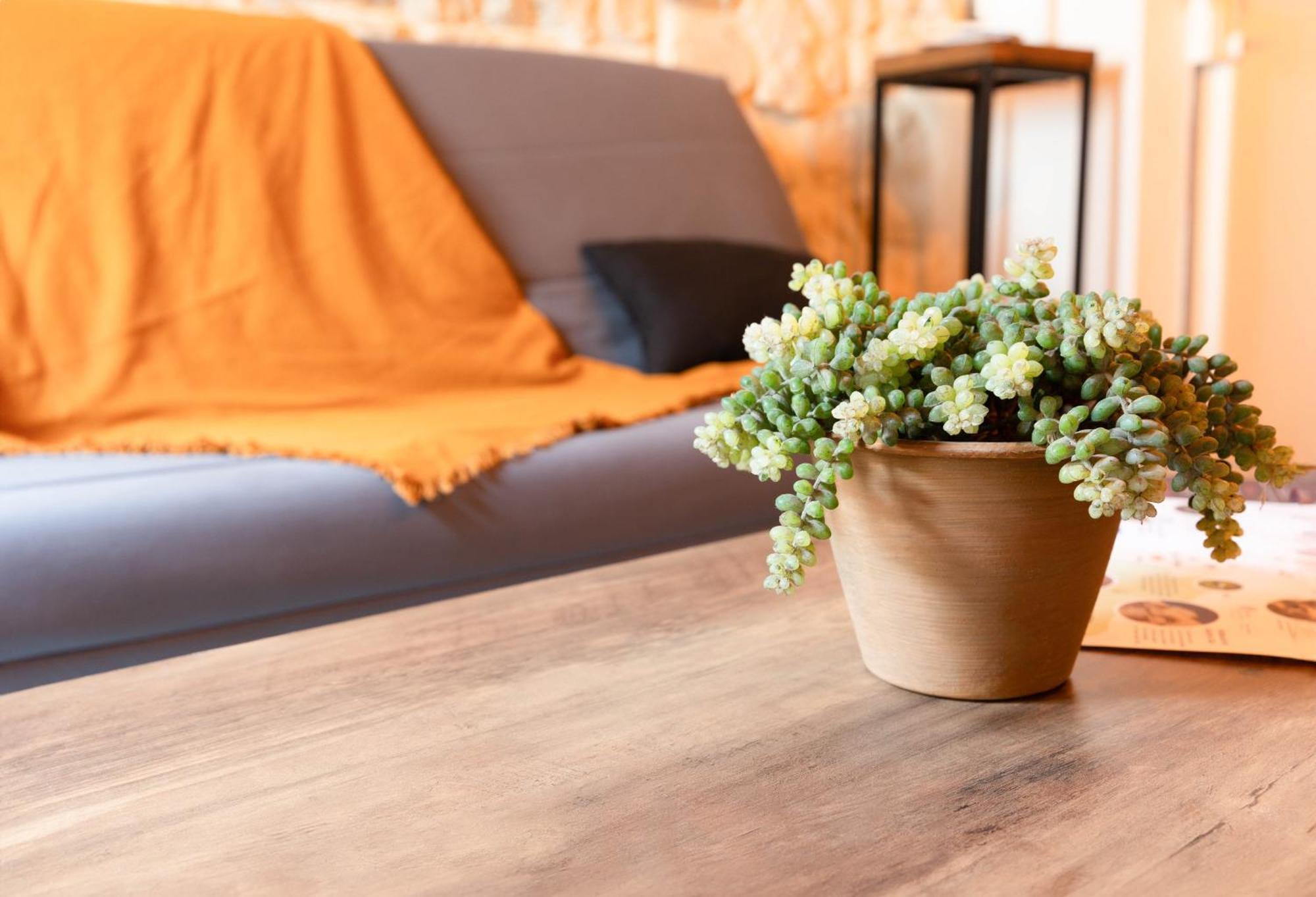 Immeuble 3 Apparts Centre Historique St Gilles Maisoncarreeconciergerie Saint-Gilles  Ngoại thất bức ảnh